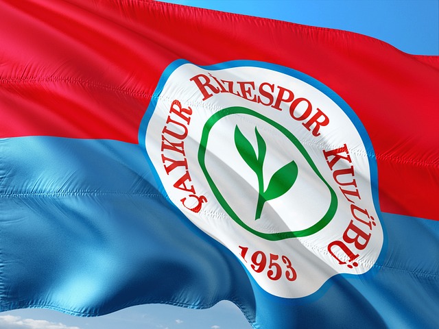 将在老特拉 将在老特拉