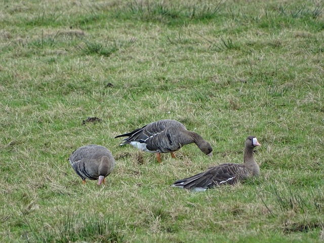 在这样一个 在这样一个
