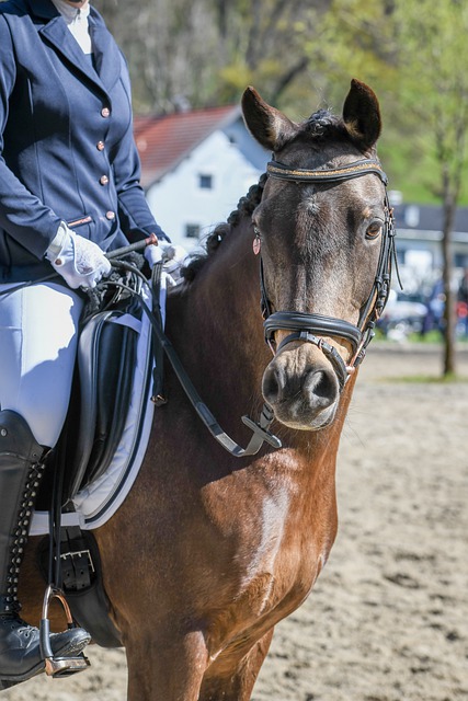 解这些规则 解这些规则