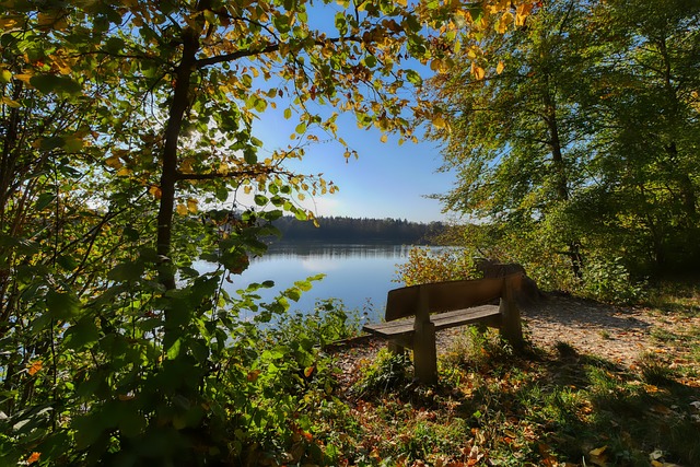 今保留着独 今保留着独