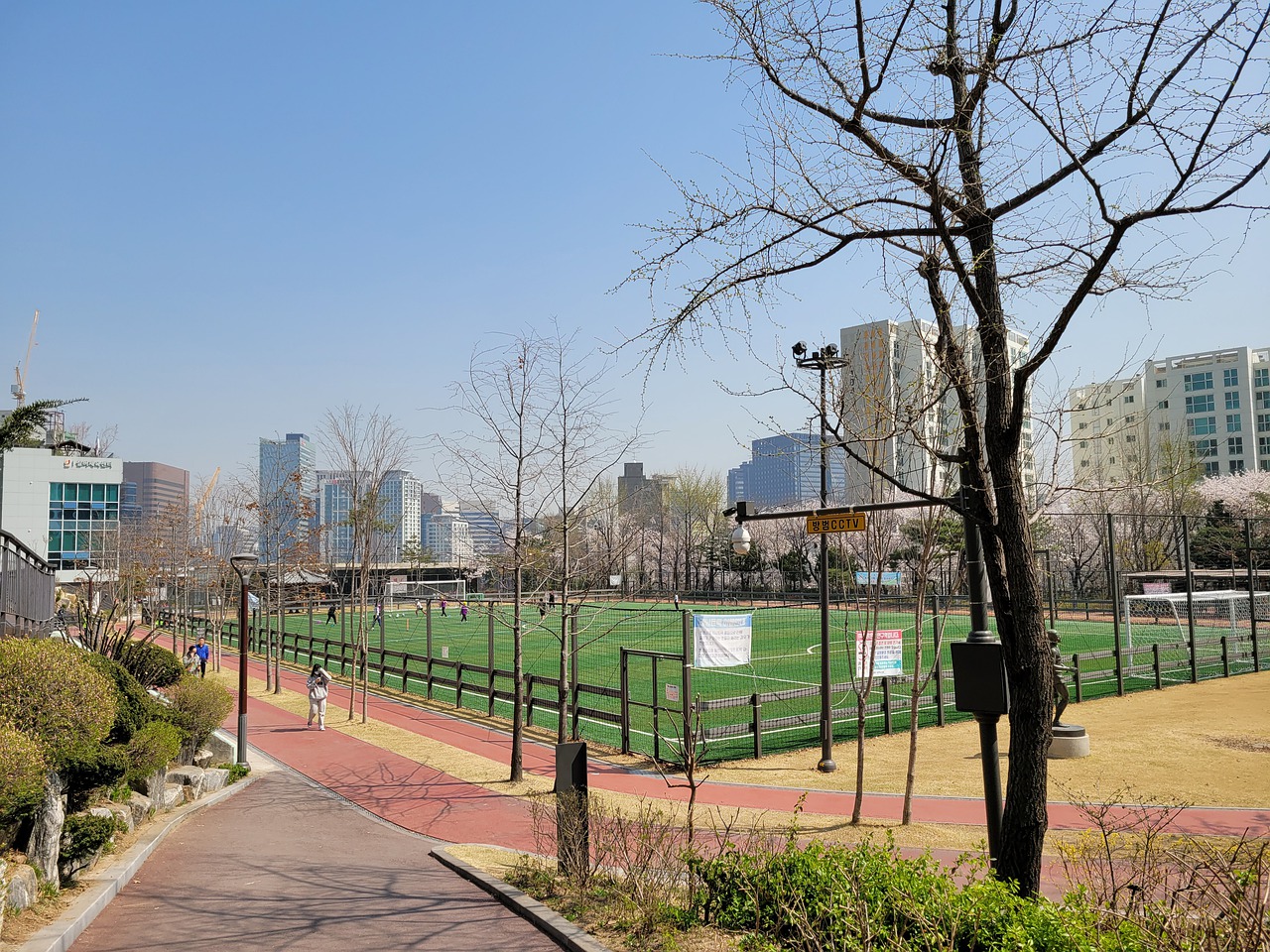 在各自领域 在各自领域