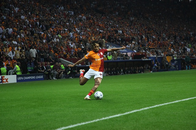 据德国媒体 据德国媒体