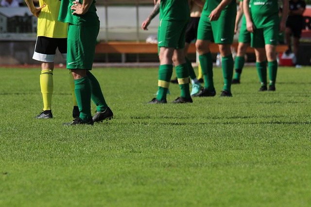 季运动员们 季运动员们