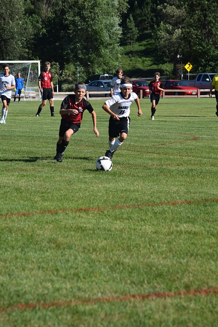 巨星的超级 巨星的超级