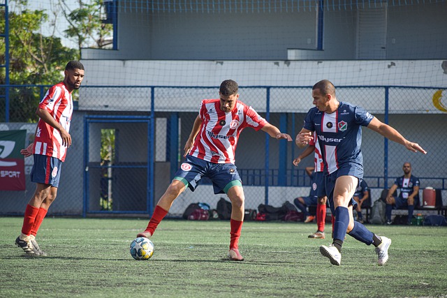 经济的整体 经济的整体