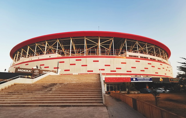 这句话的背 这句话的背